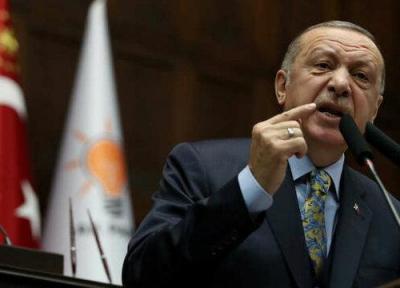 بی توجهی جامعه بین المللی به مسائل ترکیه عامل حمله به سوریه شد