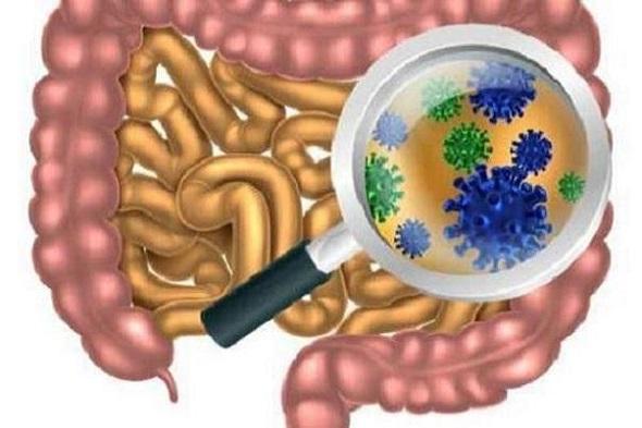 داروی کاهش کلسترول موجب بهبود میکروبیوم های روده می گردد