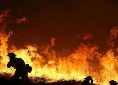 ادامه آتش سوزی های مهیب در جنگل های کالیفرنیا