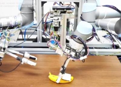 یک ربات پوست موز را بدون له کردن میوه جدا کرد