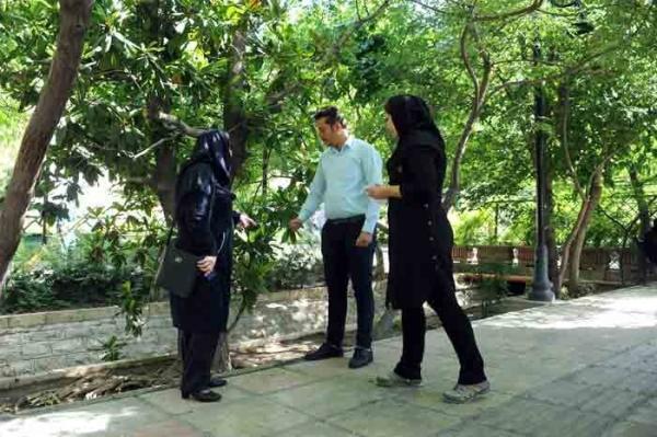 پایش و کنترل بیماری های درختان و گیاهان در منطقه 2 تهران