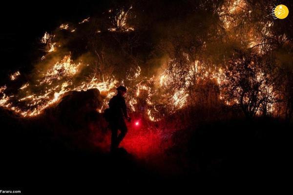 آتش سوزی جنگل بلوط کالیفرنیا