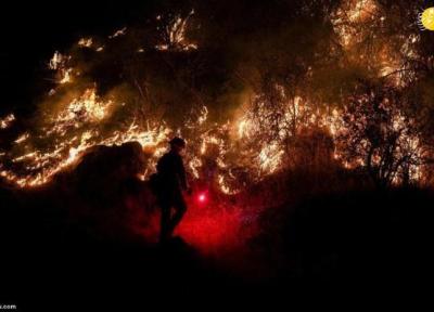 آتش سوزی جنگل بلوط کالیفرنیا
