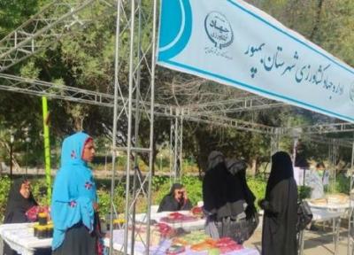 تشکیل 15 صندوق خرد زنان روستایی در شهرستان بمپور