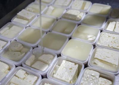 پنیر گوسفندی هم لاکچری شد ، پنیرهای 300 تا 400 گرمی چند؟ ، جدول قیمت مناسب ترین پنیرهای سفید بازار را ببینید