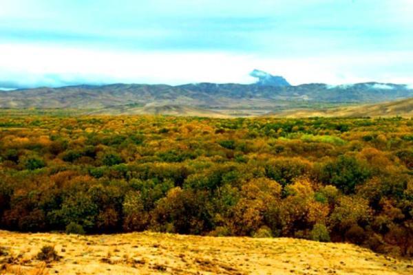 سفر نوروزی بکر و کم هزینه، مسئله اینجاست!